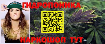 индика Изобильный